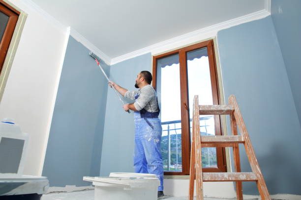 Best Cabinet Painting and Refinishing  in Godfrey, IL